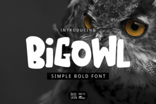 Big Owl Font: A Playful Yet Professional Design Choice