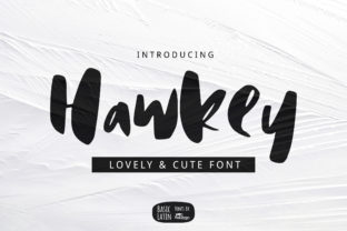 Discover Hawkey: The Casual, Fun Display Font Shaping Modern Branding and Creativity