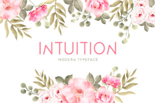 Intuition: A Versatile and Friendly Display Font for Creative Projects