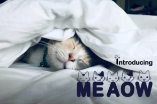 Meaow: A Playful Font for Creative Expression